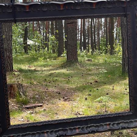 Gora Spokoju Osada Klimatyczna-Lesna Inowlodz 外观 照片