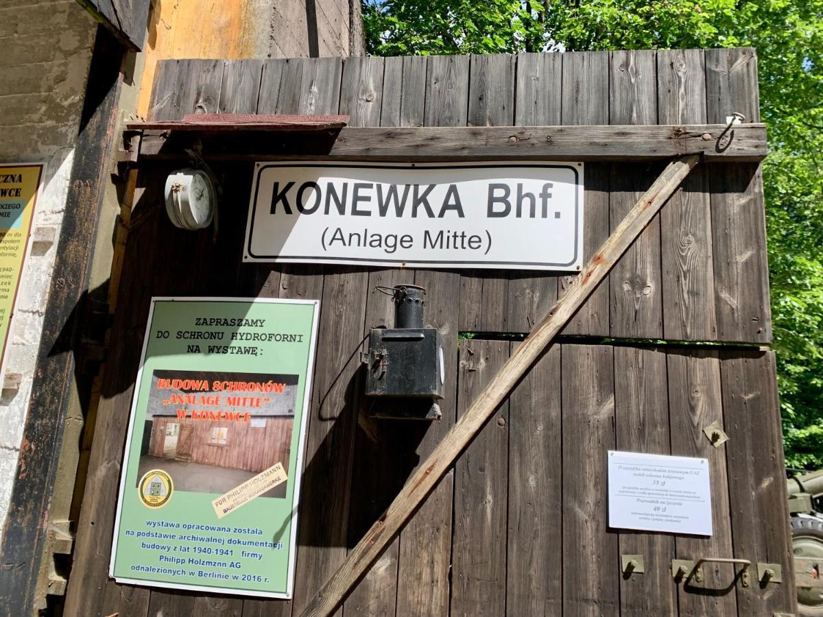 Gora Spokoju Osada Klimatyczna-Lesna Inowlodz 外观 照片