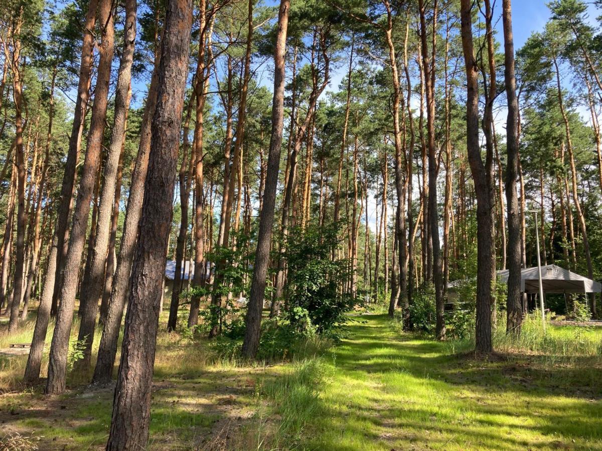 Gora Spokoju Osada Klimatyczna-Lesna Inowlodz 外观 照片