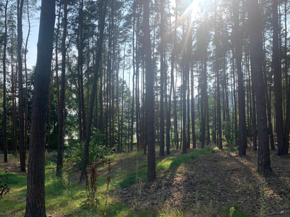 Gora Spokoju Osada Klimatyczna-Lesna Inowlodz 外观 照片