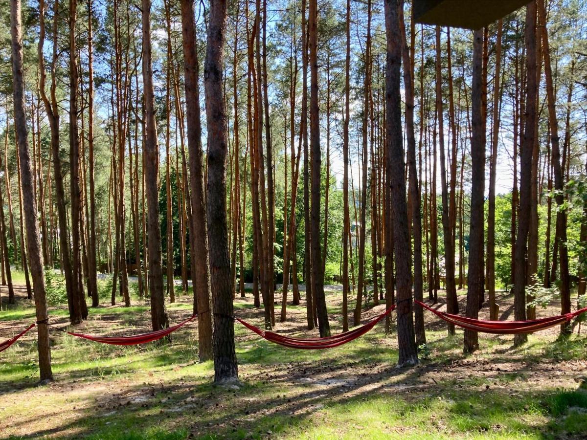 Gora Spokoju Osada Klimatyczna-Lesna Inowlodz 外观 照片